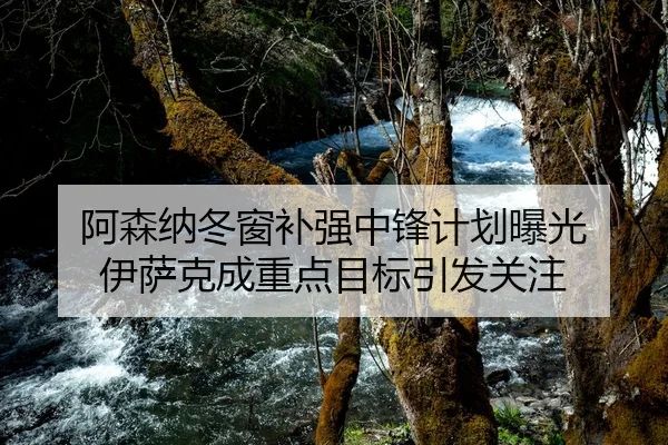 阿森纳冬窗补强中锋计划曝光 伊萨克成重点目标引发关注