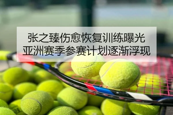 张之臻伤愈恢复训练曝光 亚洲赛季参赛计划逐渐浮现