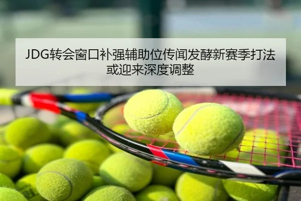 JDG转会窗口补强辅助位传闻发酵新赛季打法或迎来深度调整